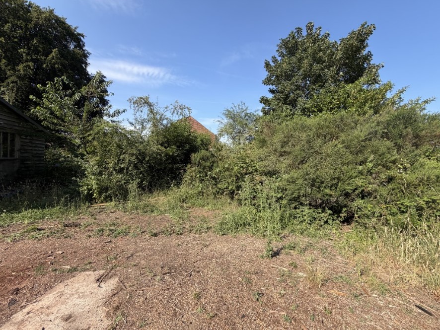 Lot Image