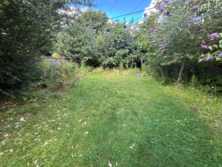 Lot Image