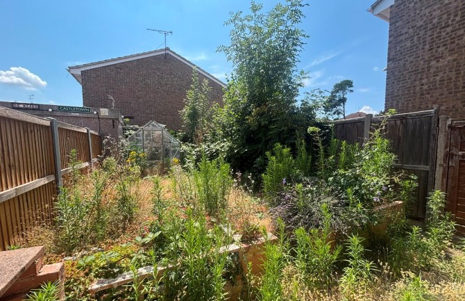 Lot Image