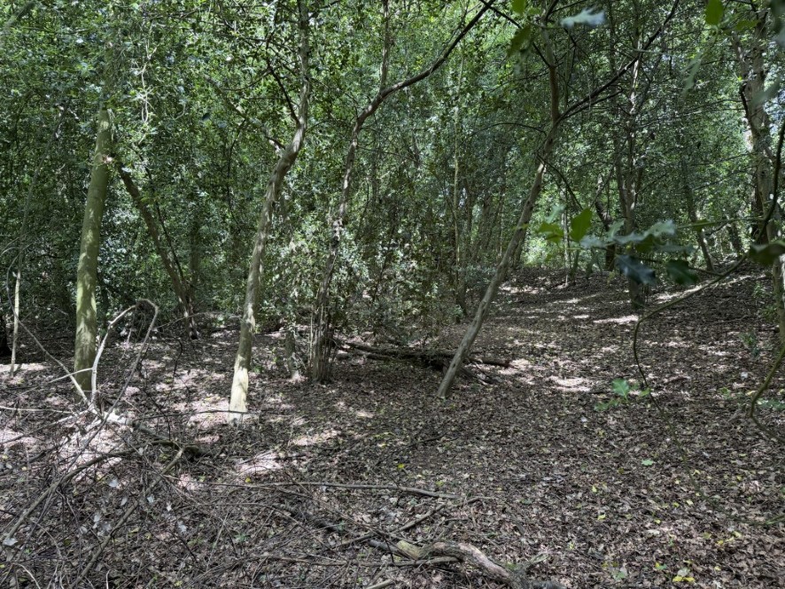 Lot Image
