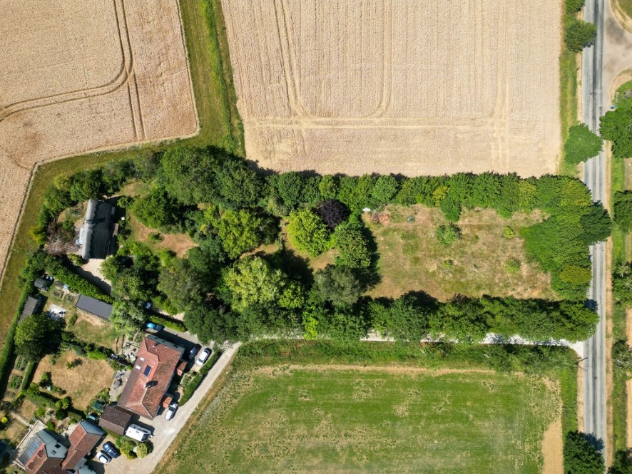 Lot Image