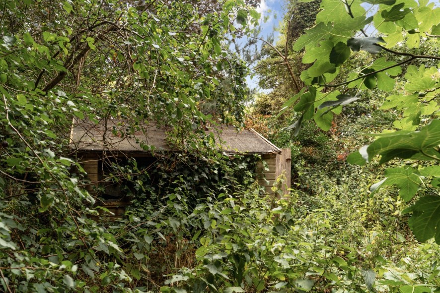 Lot Image