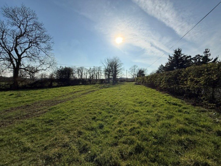 Lot Image