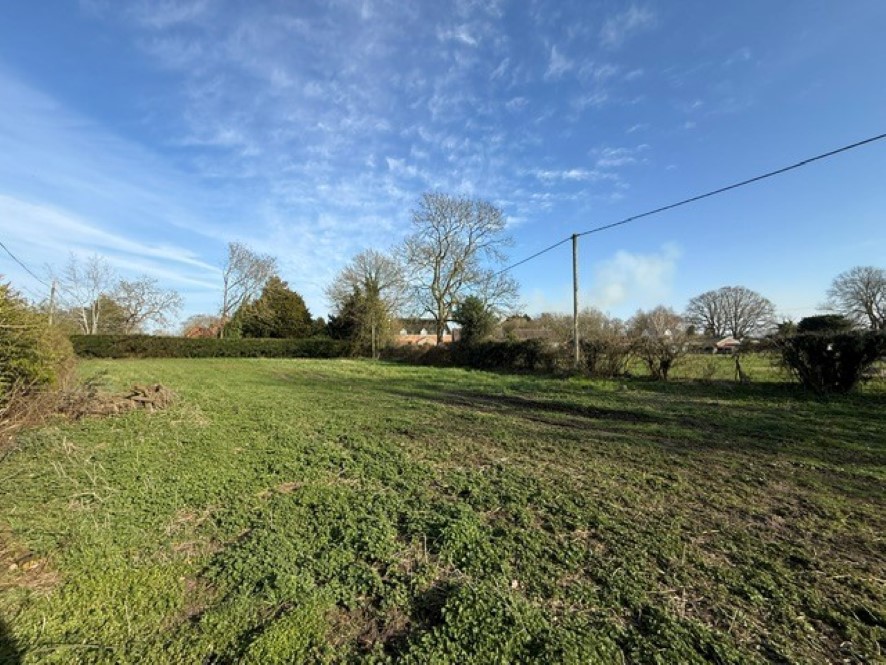 Lot Image