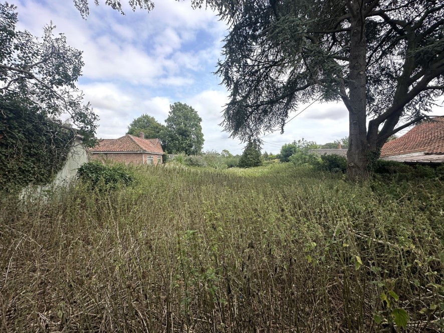 Lot Image