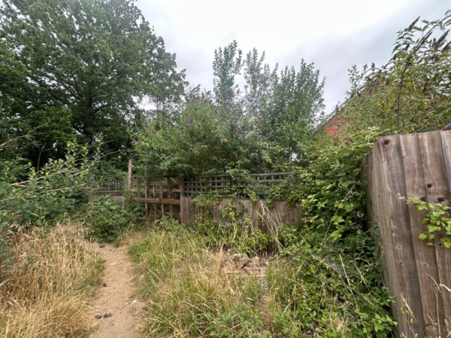 Lot Image