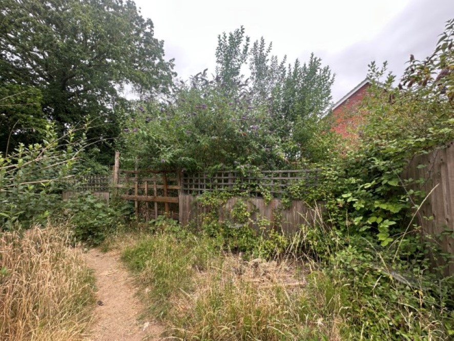 Lot Image