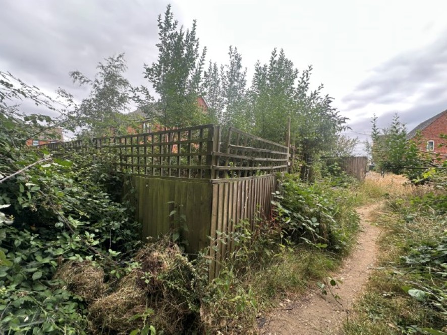 Lot Image