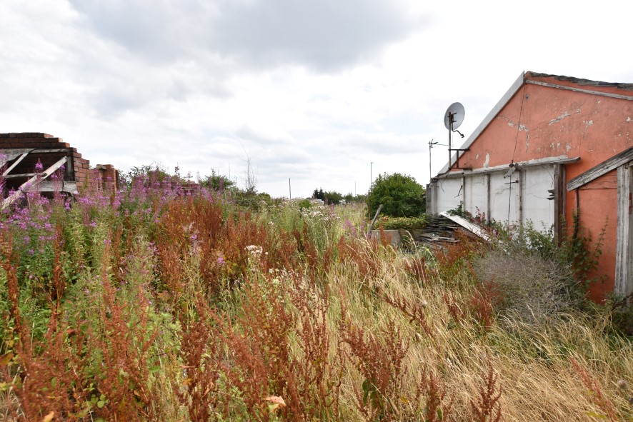 Lot Image