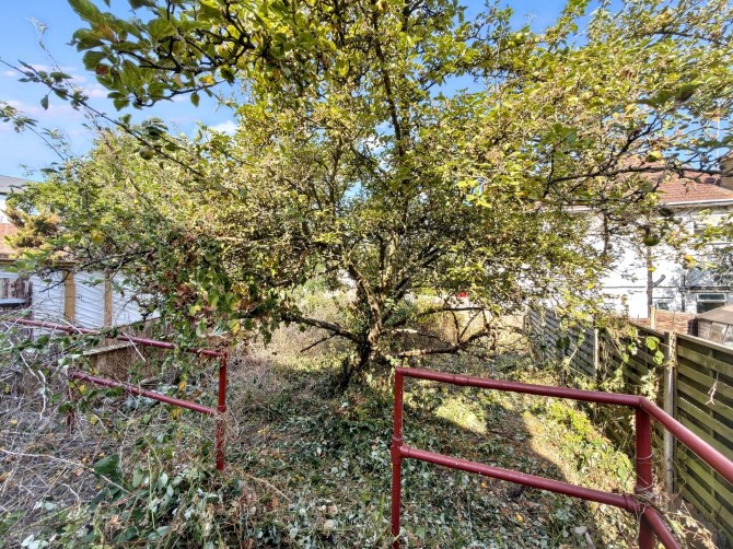 Lot Image