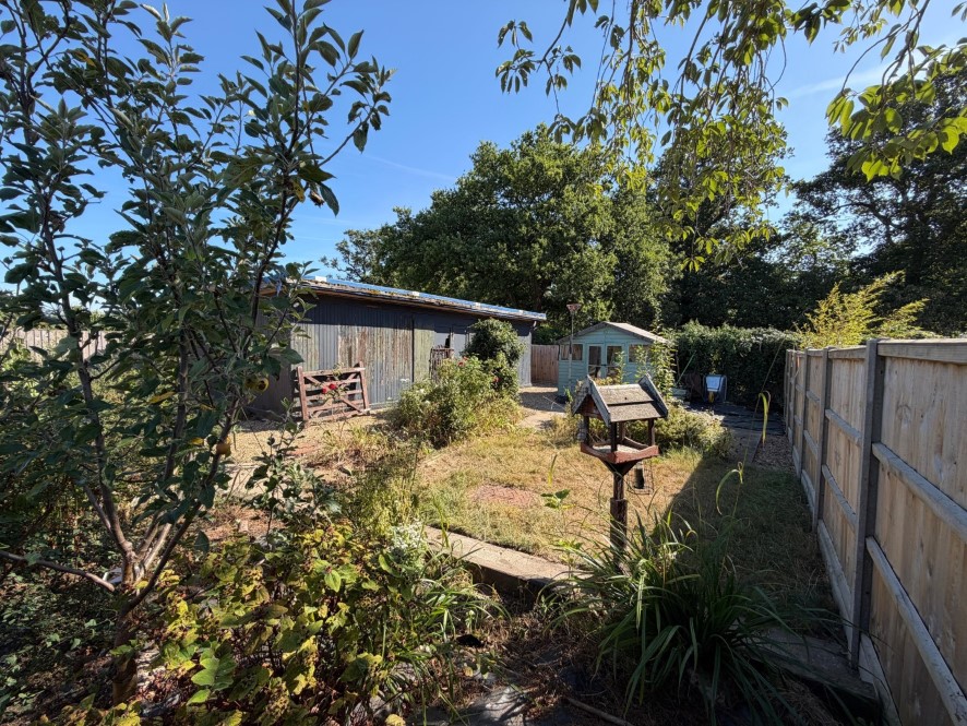 Lot Image