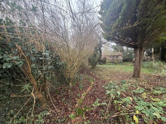 Lot Image
