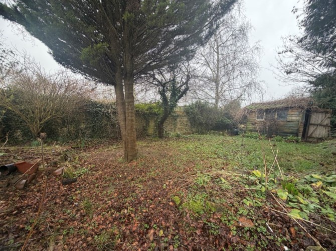 Lot Image