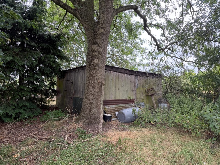Lot Image