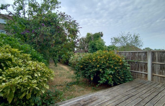 Lot Image
