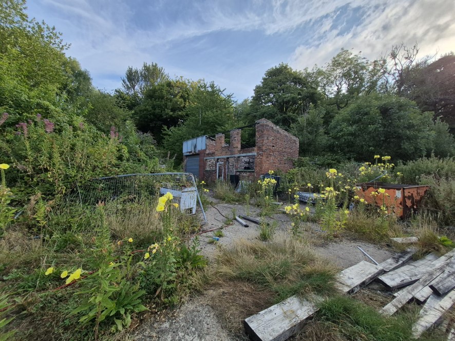 Lot Image