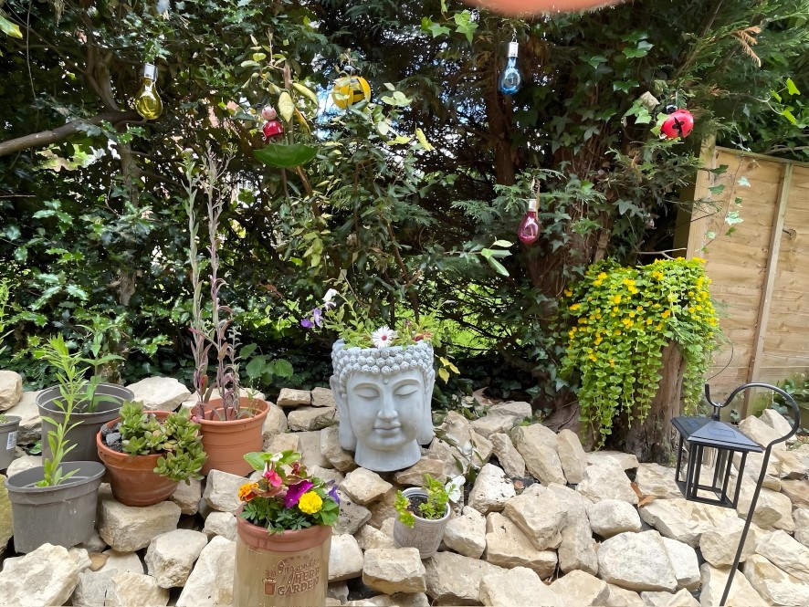 Lot Image