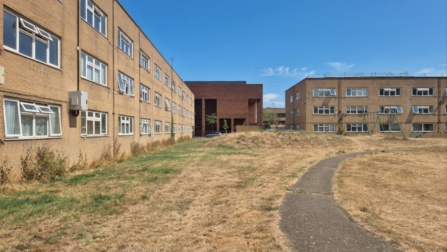 Lot Image