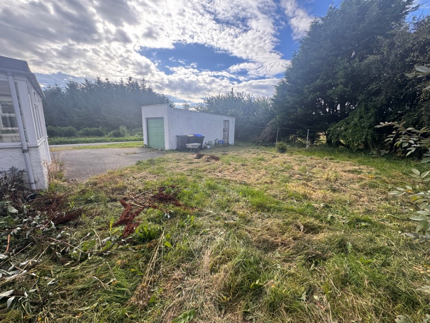 Lot Image