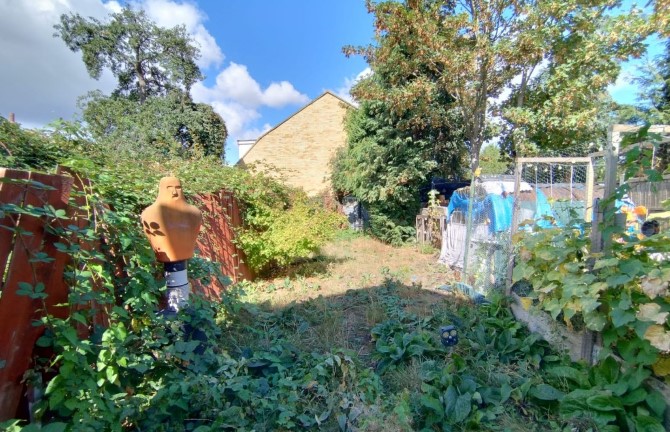 Lot Image