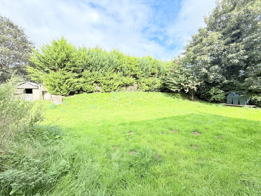 Lot Image