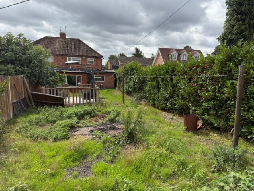 Lot Image
