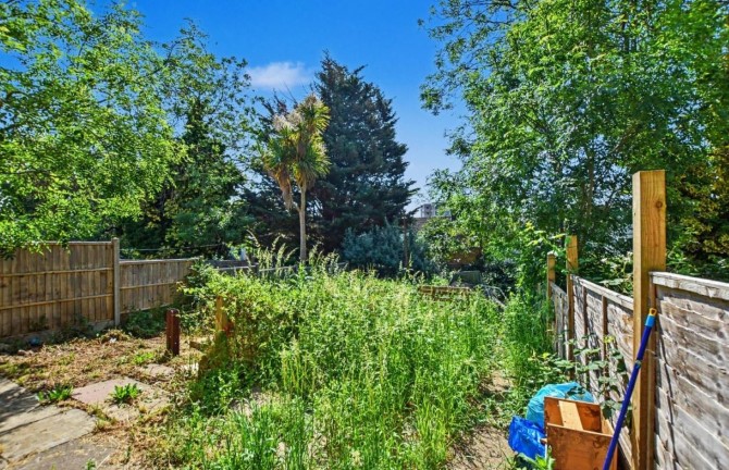 Lot Image