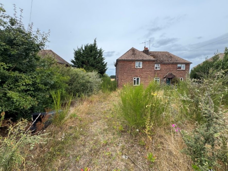 Lot Image