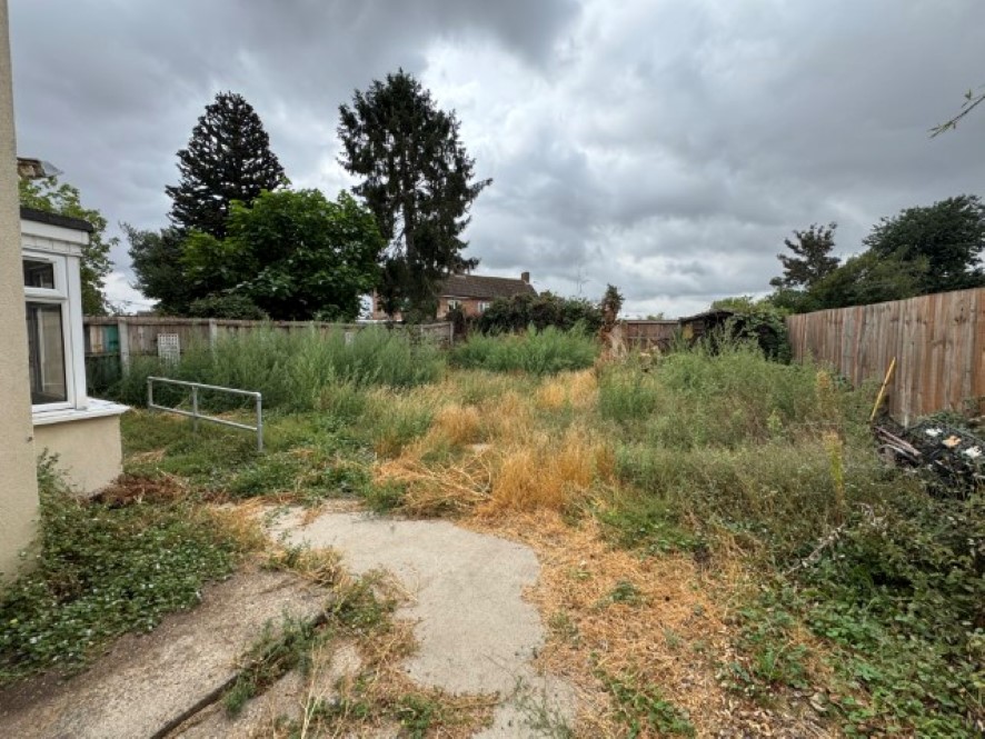 Lot Image