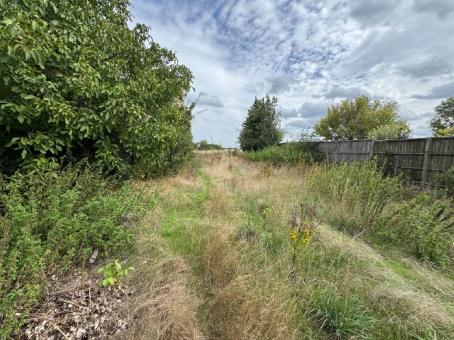 Lot Image
