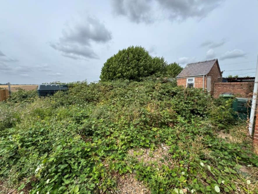 Lot Image