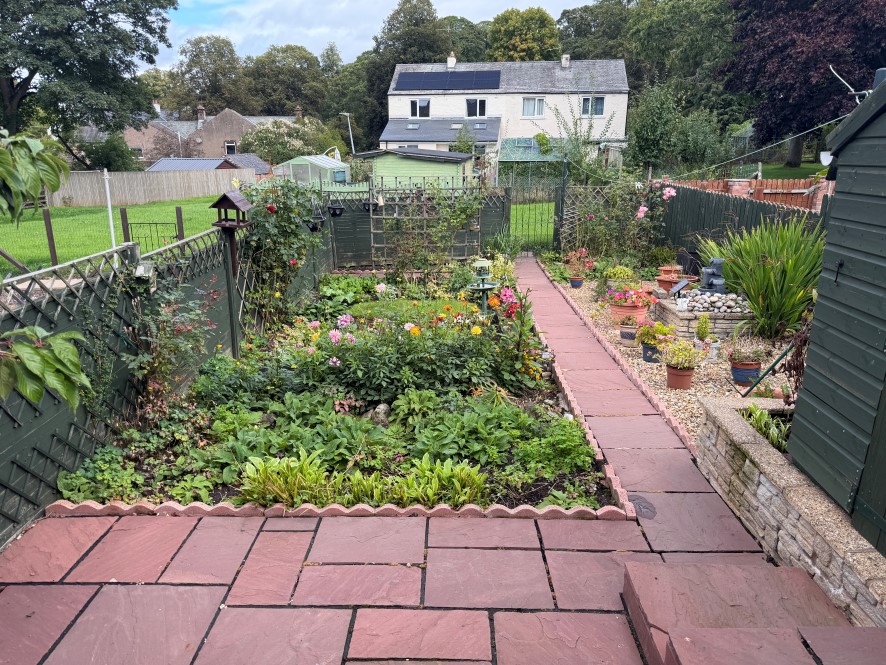 Lot Image