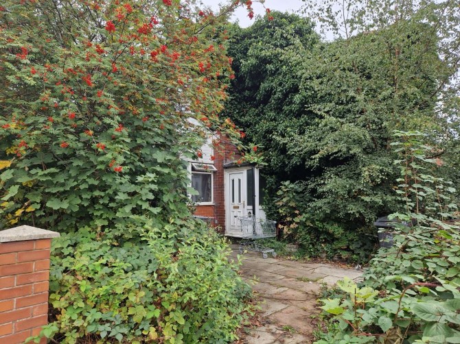 Lot Image