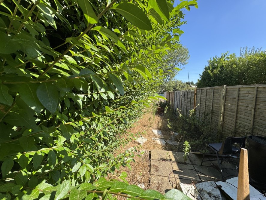 Lot Image