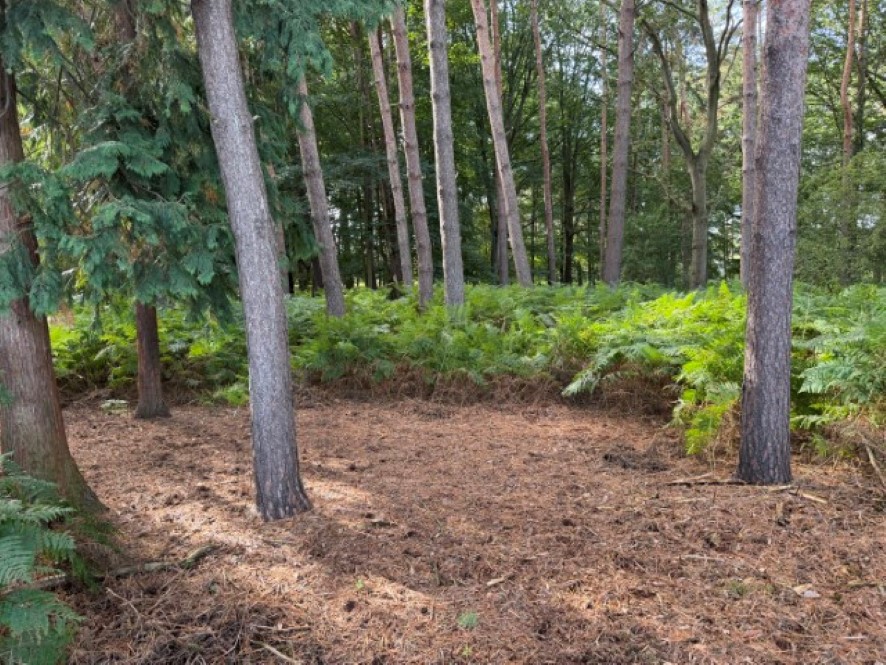 Lot Image