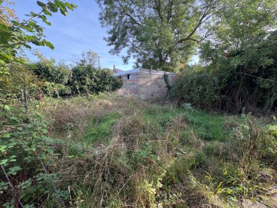 Lot Image