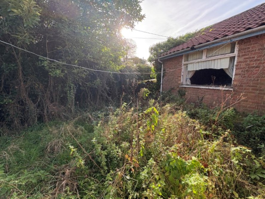 Lot Image