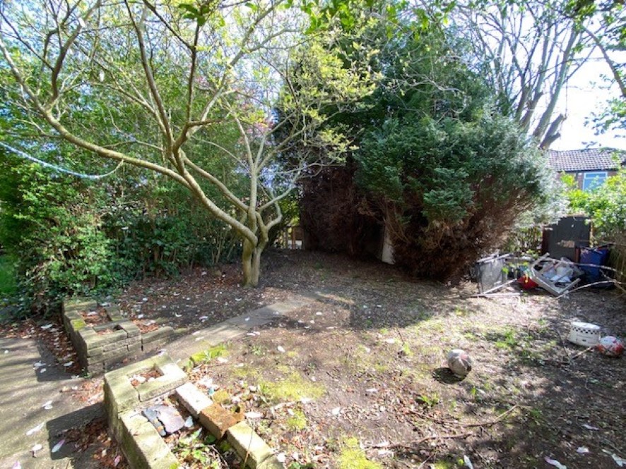 Lot Image