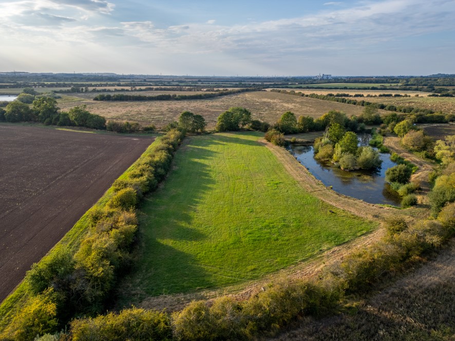 Lot Image