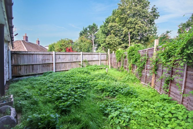 Lot Image