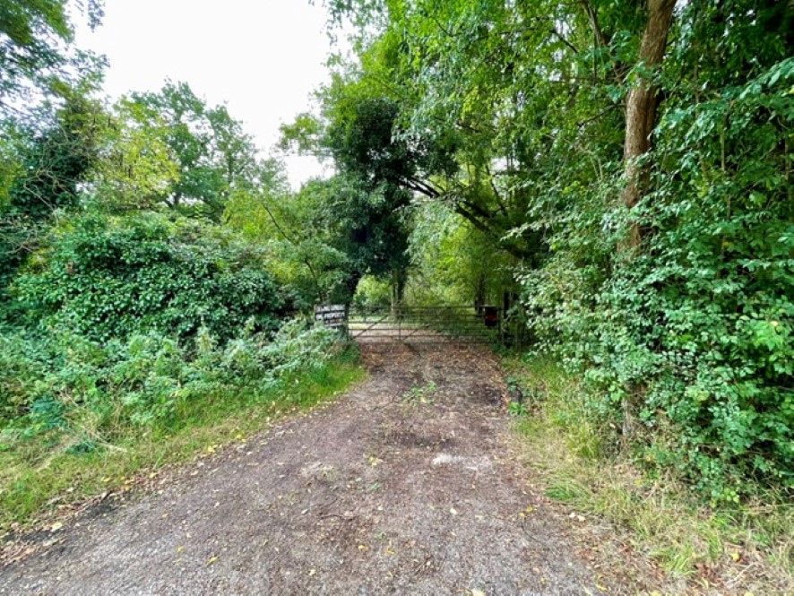 Lot Image