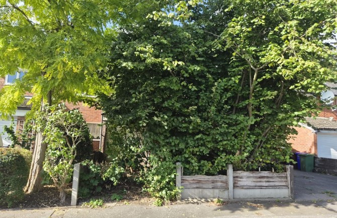 Lot Image