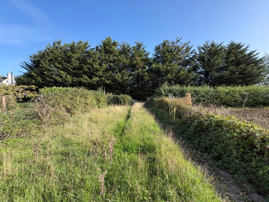 Lot Image