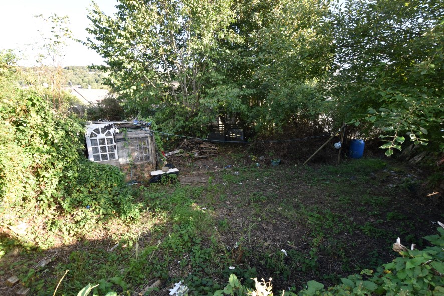 Lot Image