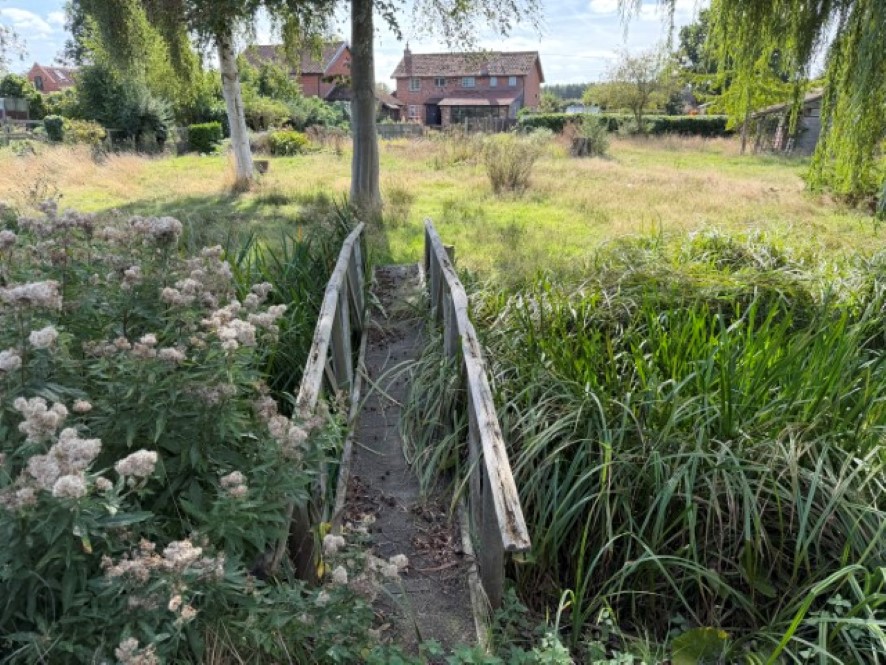Lot Image