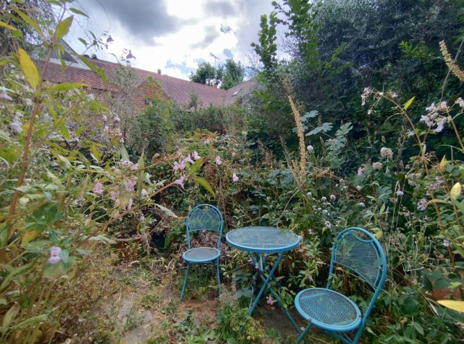 Lot Image