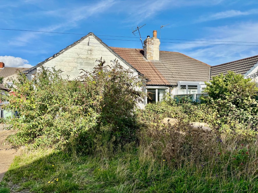 Lot Image