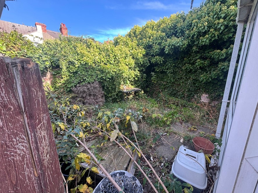 Lot Image