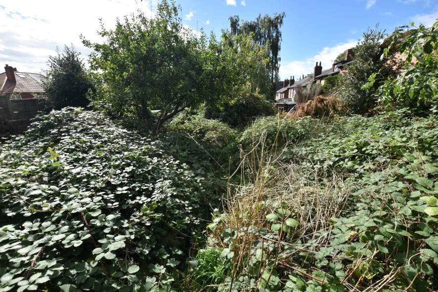 Lot Image