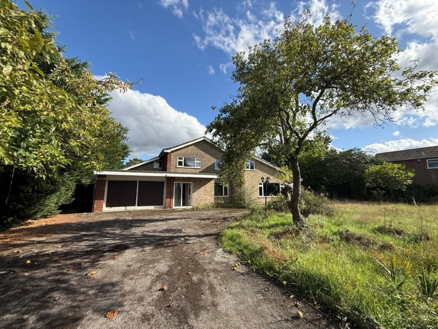 Lot Image